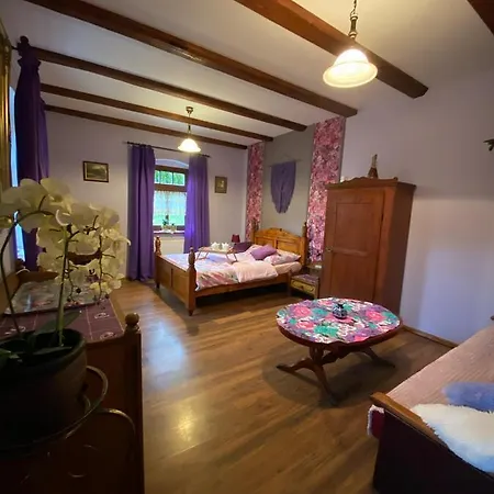 Zagroda Alpakoterapii * Świeradów-Zdrój