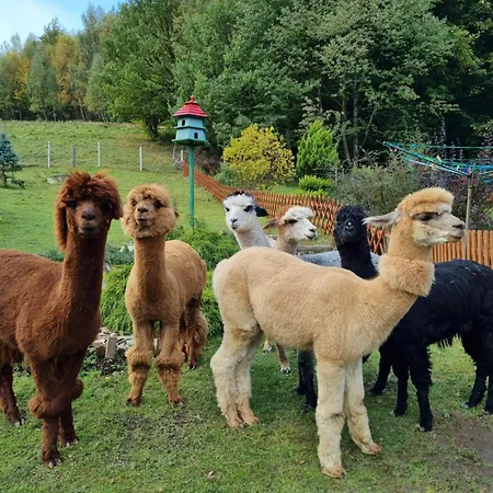 Zagroda Alpakoterapii