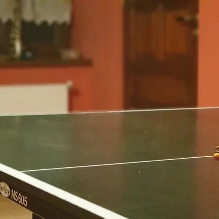 Zagroda Alpakoterapii Świeradów-Zdrój