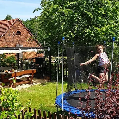 Zagroda Alpakoterapii בית אירוח Świeradów-Zdrój