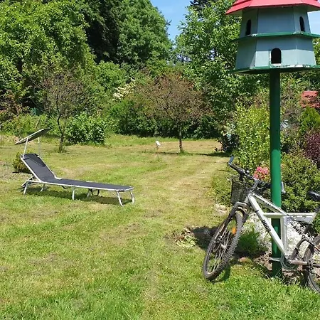 בית אירוח Zagroda Alpakoterapii *