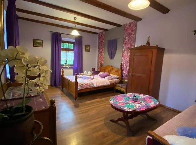 Zagroda Alpakoterapii * Świeradów-Zdrój