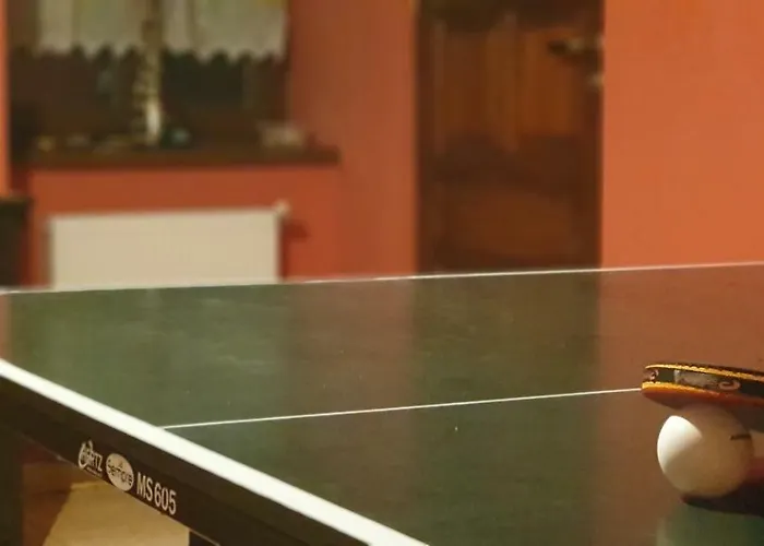 Zagroda Alpakoterapii Świeradów-Zdrój